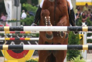 Global Champions-Tour Start in Doha cancelled